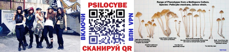 Псилоцибиновые грибы Psilocybine cubensis  omg сайт  Павловский Посад 