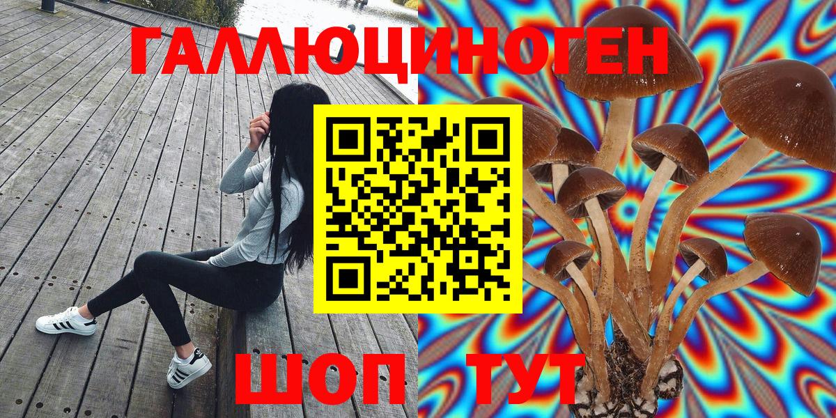 Псилоцибиновые грибы Magic Shrooms Павловский Посад