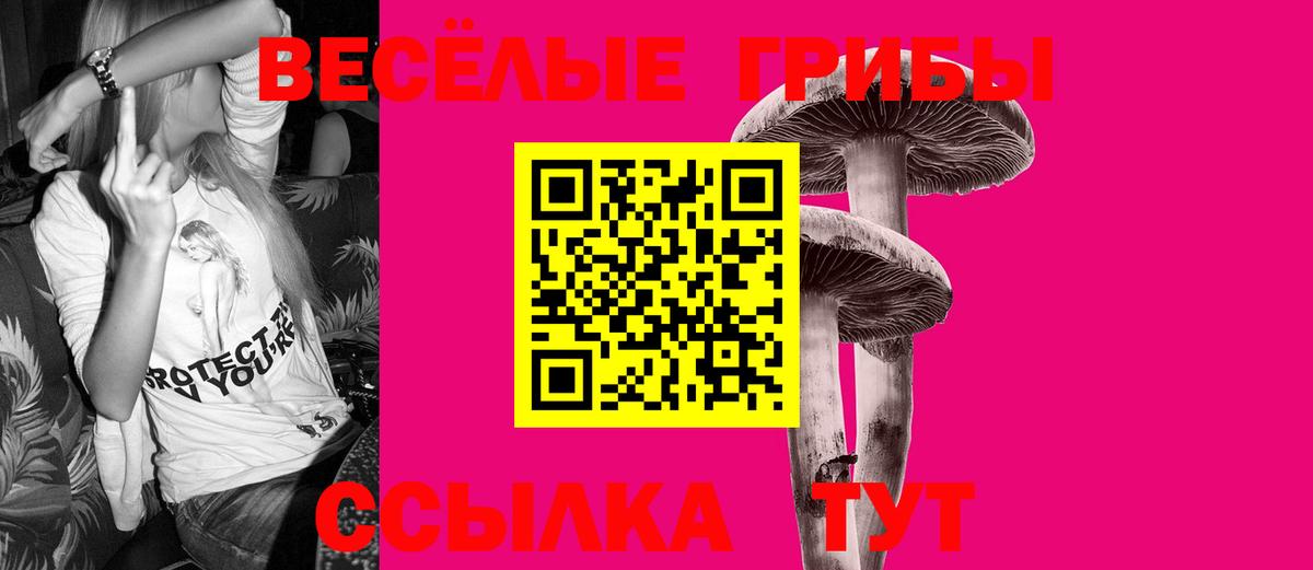 наркотики  Вход с VPN  Павловский Посад  Псилоцибиновые грибы Cubensis 